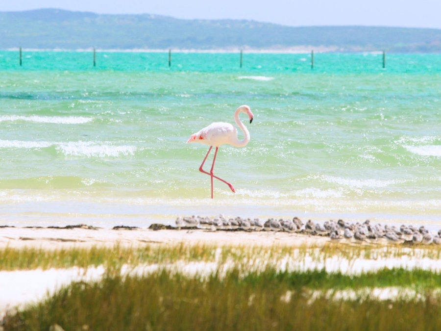 0 Bedroom Property for Sale in Laguna Sands Western Cape